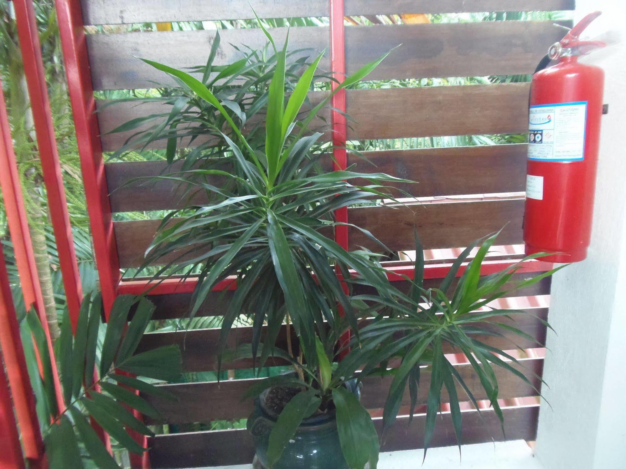 奥南缎寨度假村 Ao Nang 外观 照片